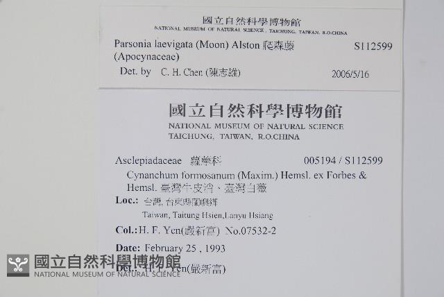 爬森藤藏品圖，第2張