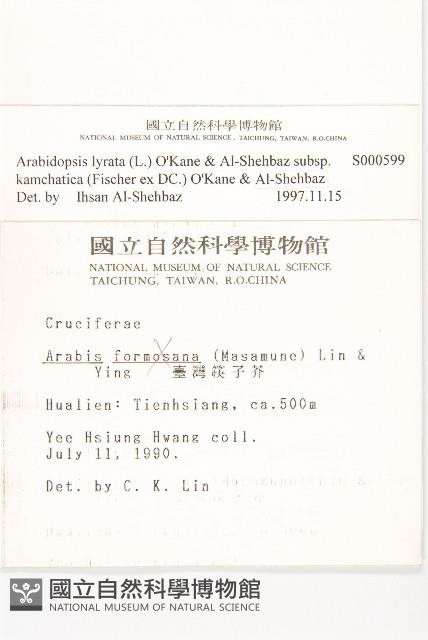 玉山筷子芥藏品圖，第2張