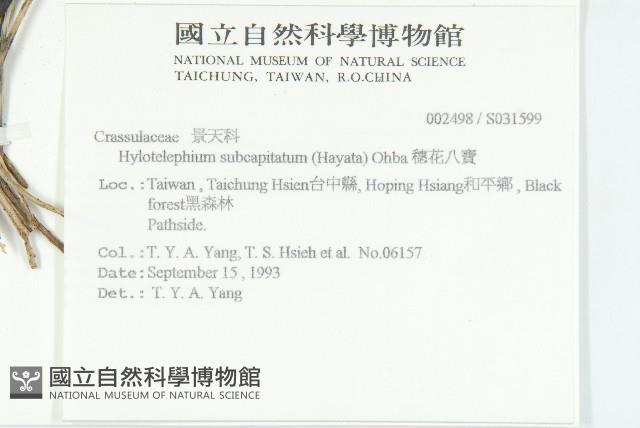 穗花八寶藏品圖，第2張