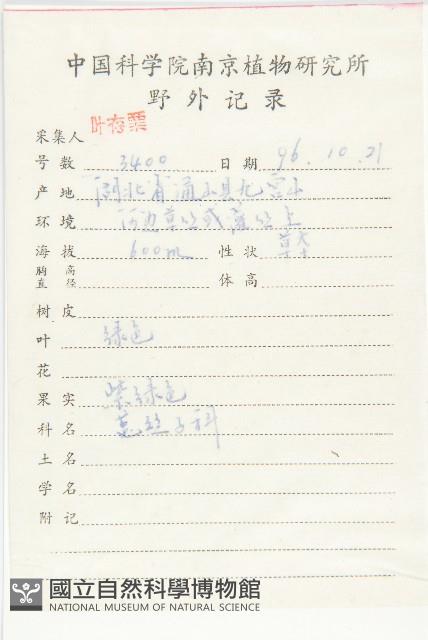 日本菟絲子藏品圖，第2張