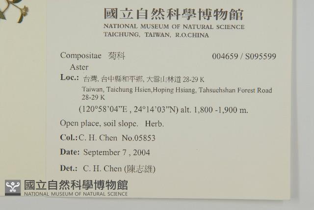 登錄號:S095599藏品圖，第2張