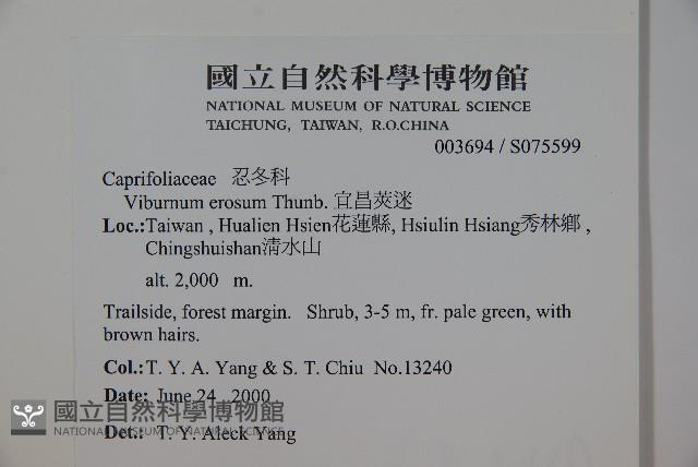 松田氏莢迷、宜昌莢迷藏品圖，第2張