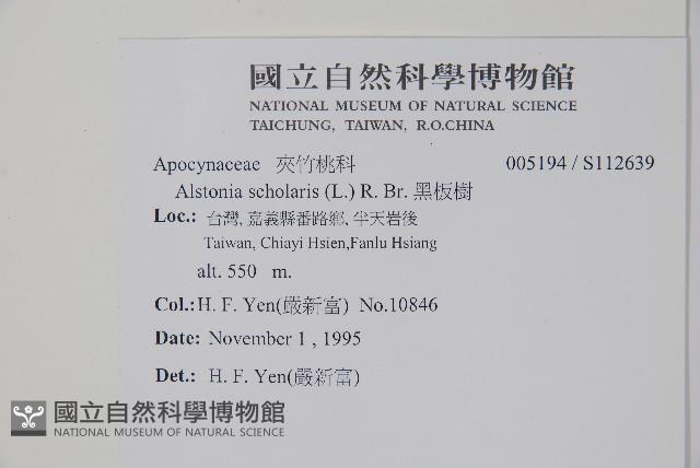 黑板樹藏品圖，第2張