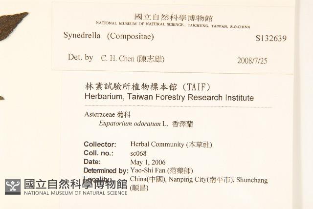 登錄號:S132639藏品圖，第2張