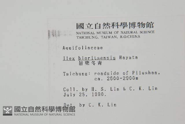 苗栗冬青藏品圖，第2張