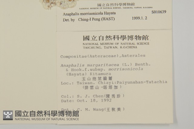 玉山抱莖籟簫藏品圖，第2張