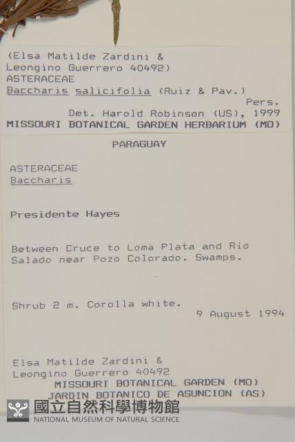 登錄號:S080639藏品圖，第2張