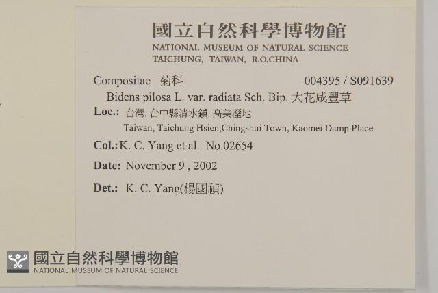 大花咸豐草藏品圖，第2張