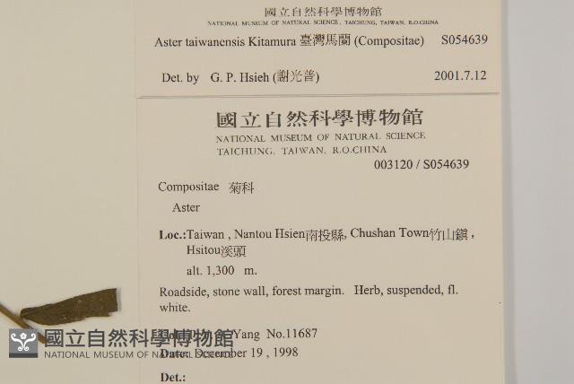 臺灣馬蘭藏品圖，第2張