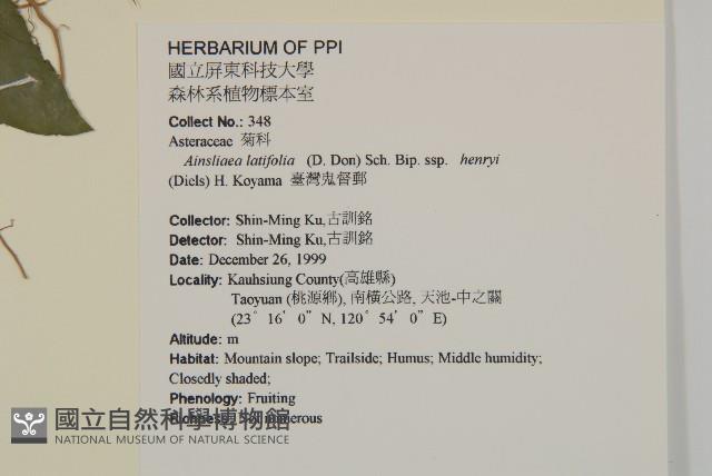 臺灣鬼督郵藏品圖，第2張