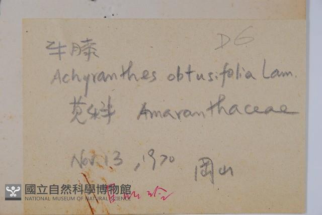 登錄號:S073639藏品圖，第2張