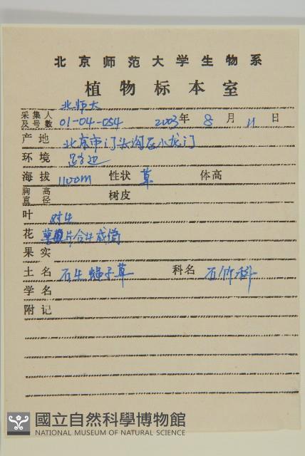 石生蠅子草、山女婁菜藏品圖，第2張