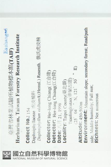 俄氏虎皮楠、蘭嶼虎皮楠、虎皮楠藏品圖，第2張