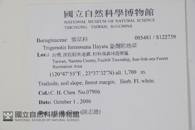 臺灣附地草藏品圖，第2張