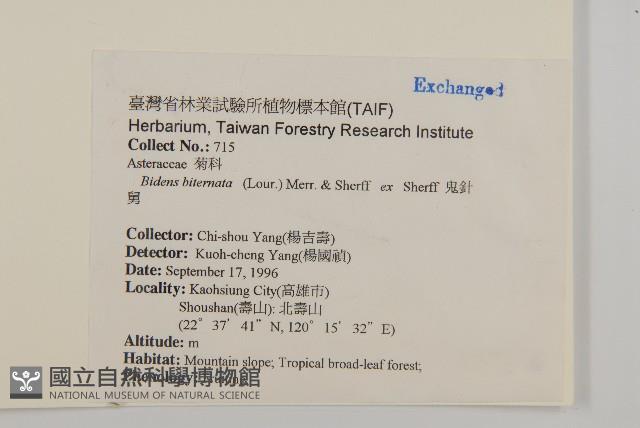 鬼針舅藏品圖，第2張