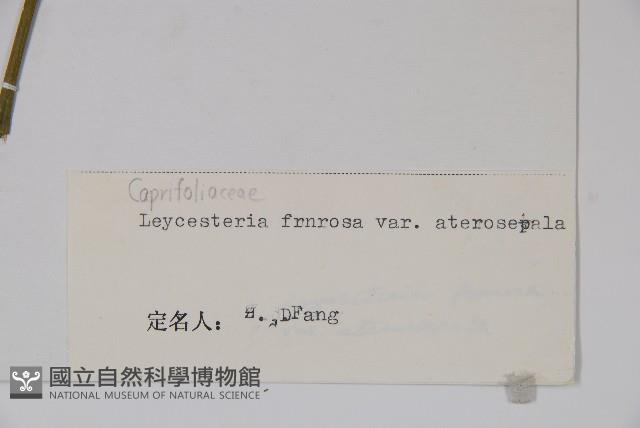 登錄號:S022239藏品圖，第2張