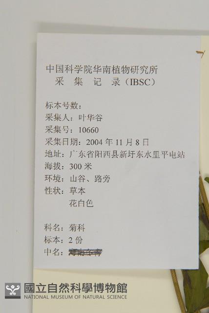 山白蘭藏品圖，第2張