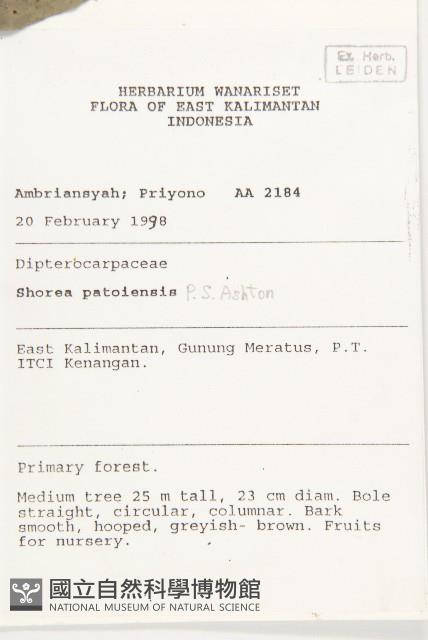 登錄號:S055239藏品圖，第2張