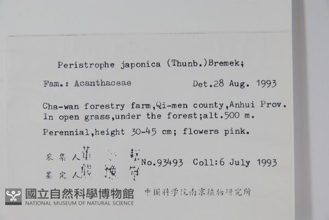 九頭獅子草藏品圖，第2張