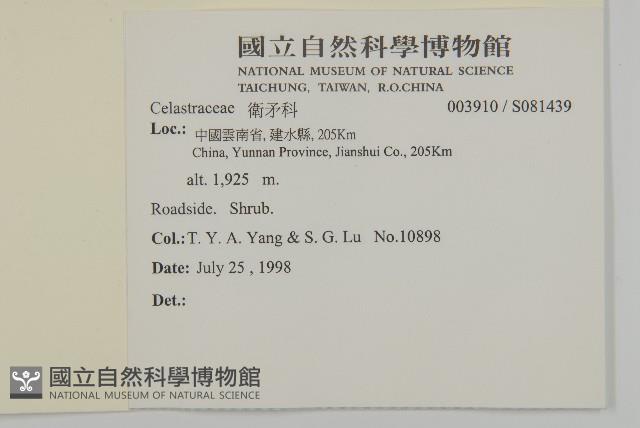 登錄號:S081439藏品圖，第2張