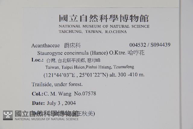 哈哼花藏品圖，第2張
