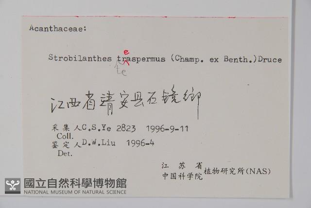 四子馬藍藏品圖，第2張