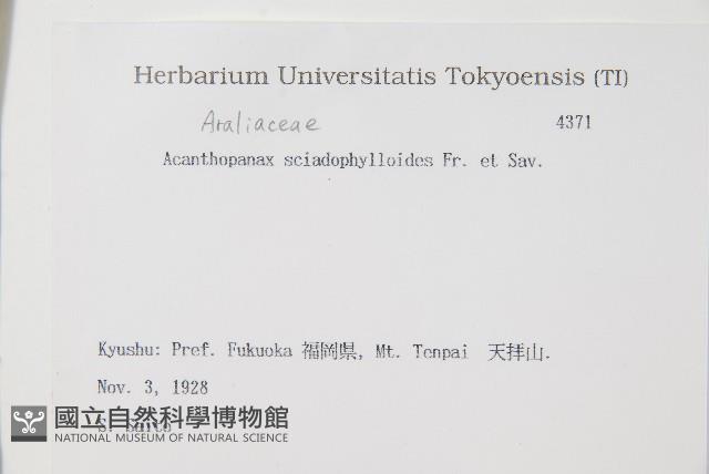 登錄號:S082139藏品圖，第2張