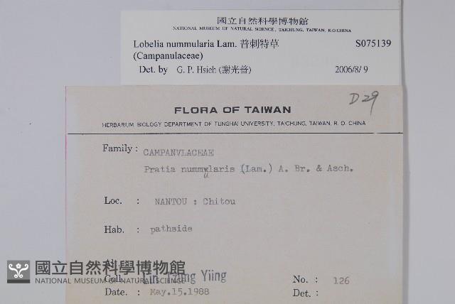 普刺特草藏品圖，第2張