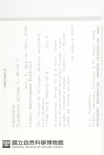 登錄號:S094139藏品圖，第2張