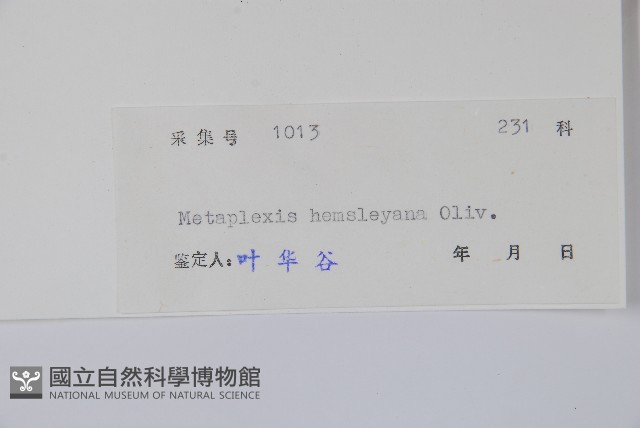 華蘿藦、奶漿藤藏品圖，第2張
