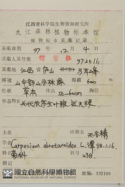 天名精藏品圖，第2張