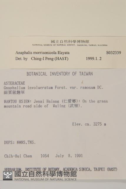 玉山抱莖籟簫藏品圖，第2張