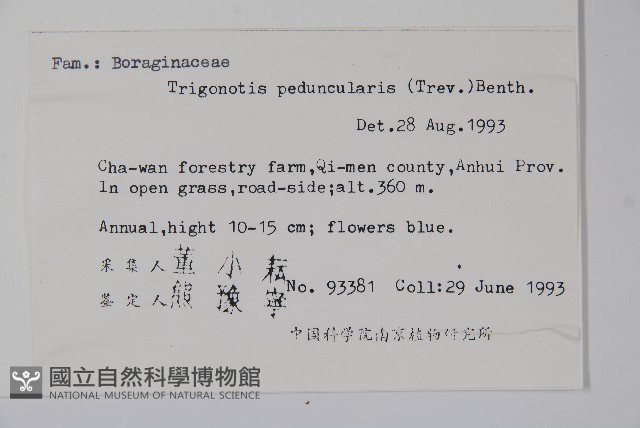 附地菜藏品圖，第2張