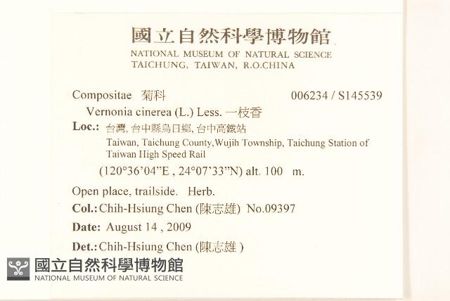 野牡丹藏品圖，第2張