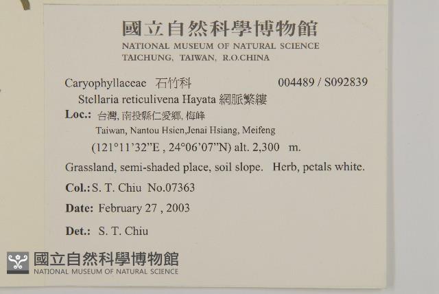 網脈繁縷藏品圖，第2張