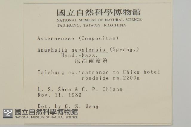 尼泊爾籟簫藏品圖，第2張