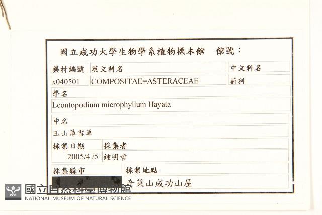 玉山薄雪草藏品圖，第2張