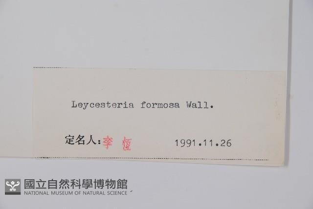 鬼吹簫藏品圖，第2張