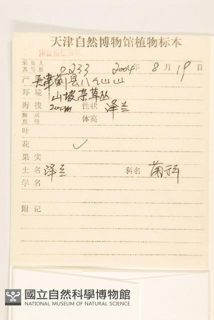 林氏澤蘭藏品圖，第2張