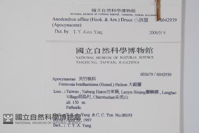 小錦蘭藏品圖，第2張