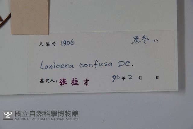 山銀花藏品圖，第2張