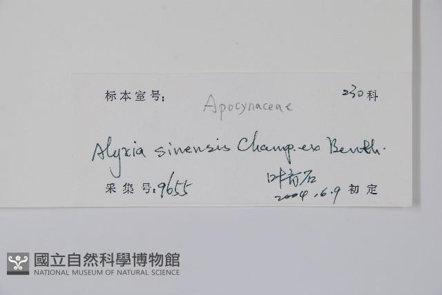 中國念珠藤藏品圖，第2張