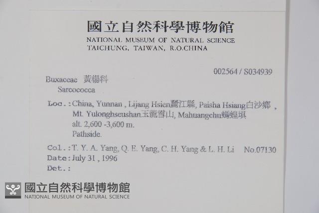 登錄號:S034939藏品圖，第2張