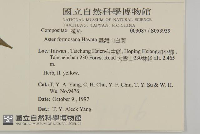 臺灣山白蘭藏品圖，第2張