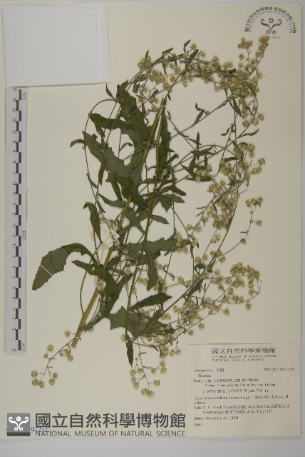 登錄號:S142539藏品圖，第2張