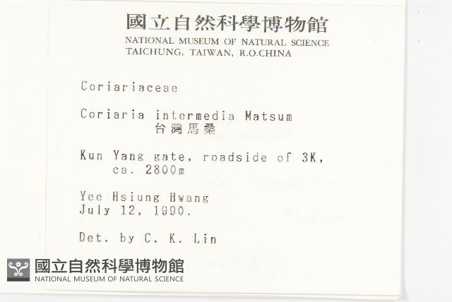 臺灣馬桑藏品圖，第2張