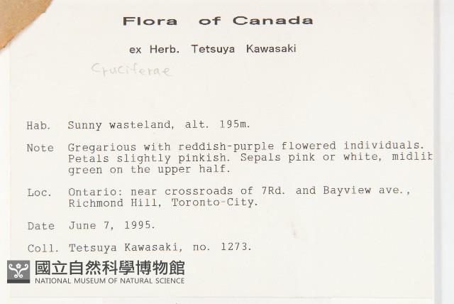 登錄號:S050539藏品圖，第2張