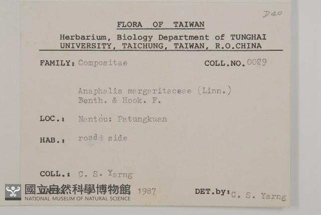 抱莖籟簫藏品圖，第2張