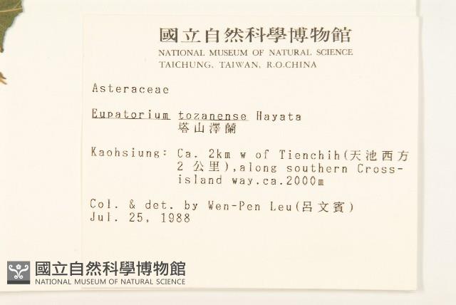 塔山澤蘭藏品圖，第2張