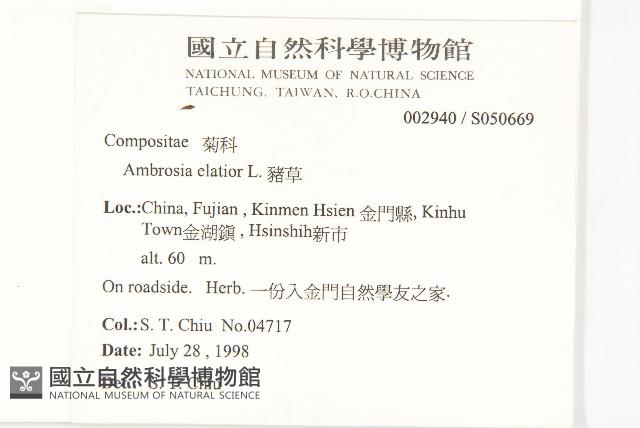 豬草藏品圖，第2張